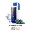 Blueberry Storm 